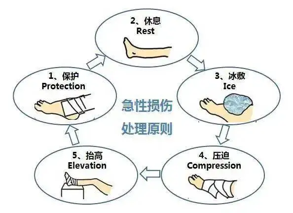 篮球教练队长训练计划书范文图片_0